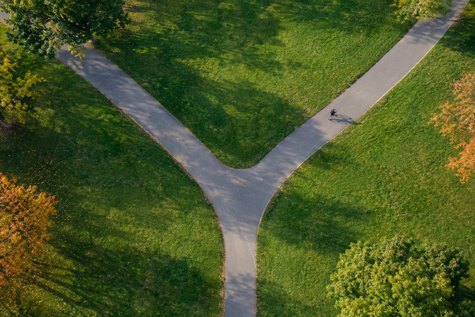 A park path splitting in two directions, seen from above
